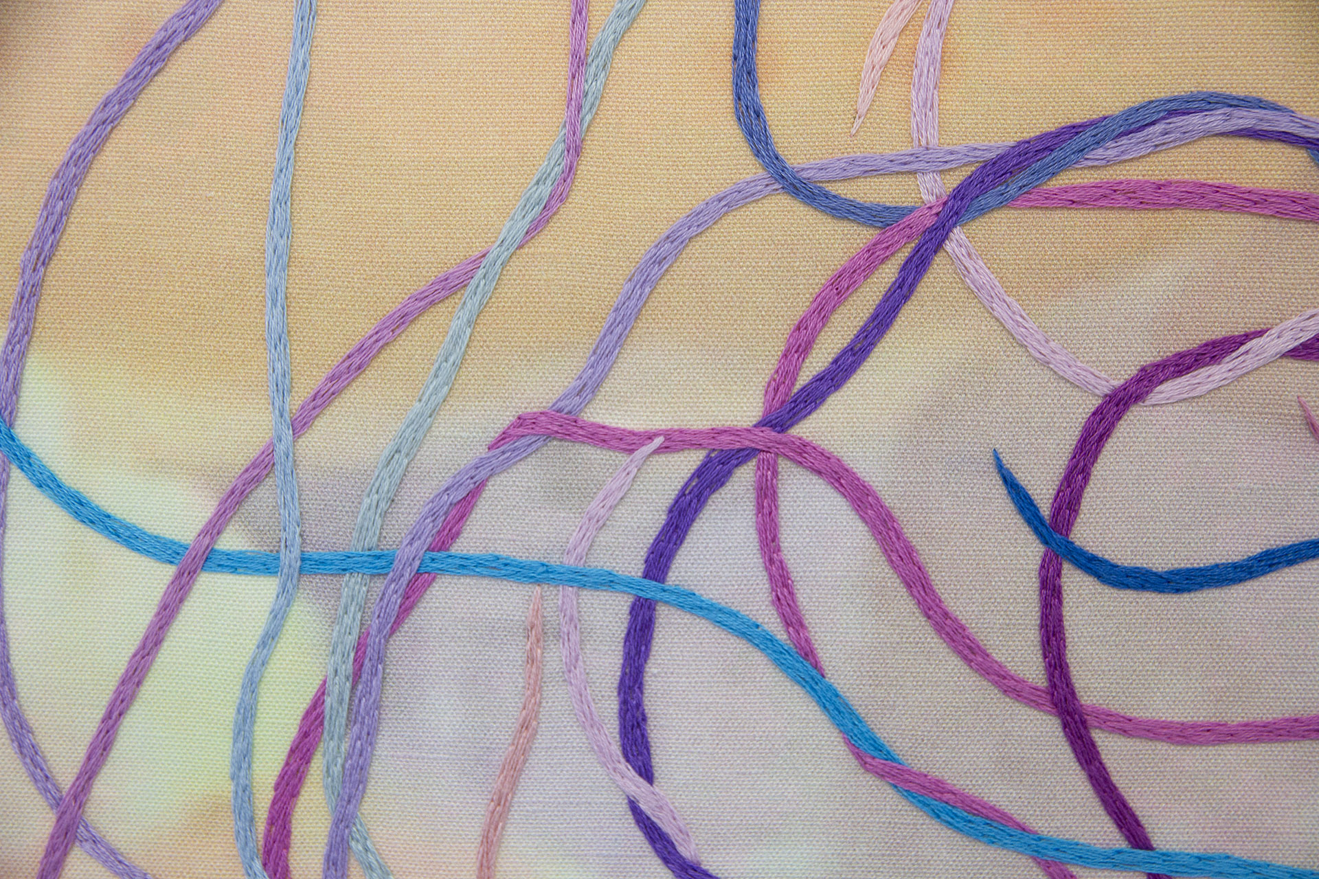 Knot Theory, embroidery detail, 2021